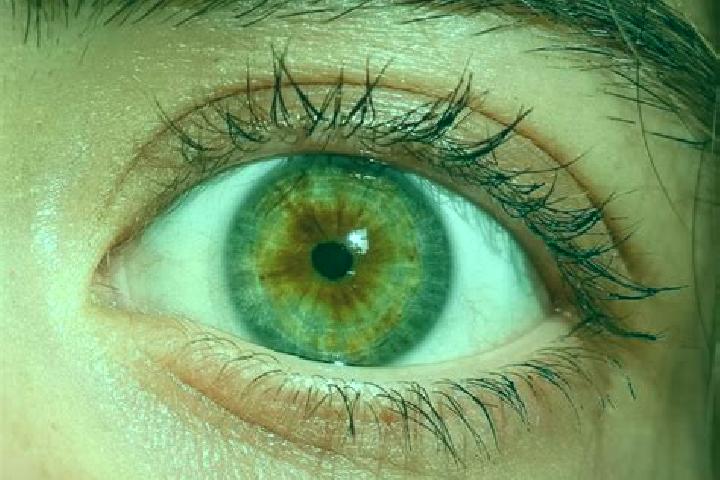 Celexa buy celexa no prescription tablet