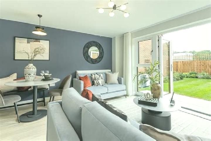 Celexa celexa and liver pharmacy