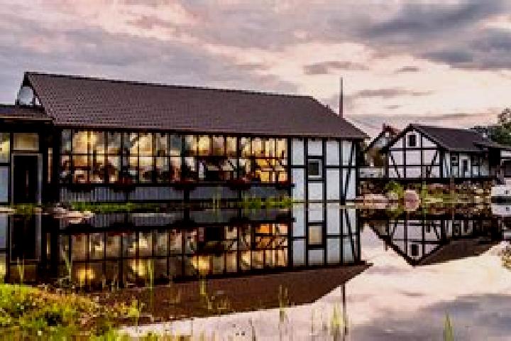 Celexa celexa overheating medication