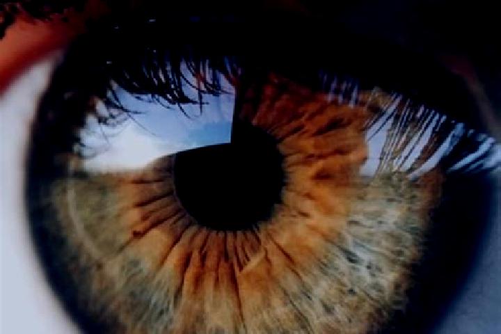Celexa celexa zoloft dosage pills