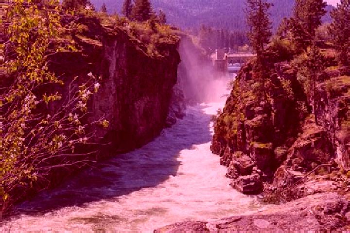 Celexa effexor vs celexa reddit tablet