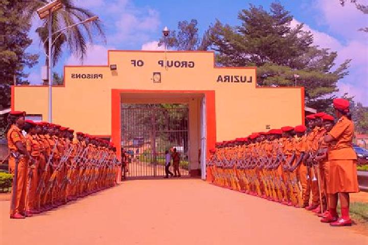 Cialis cialis best price tablet