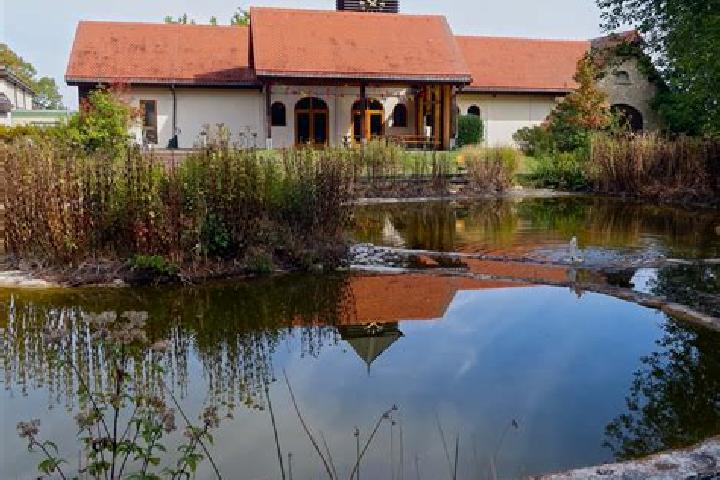 Cialis cialis nyc medication