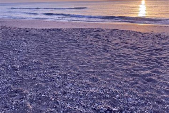 Cialis cialis tub commercial tablet