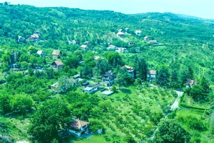 Flagyl flagyl antibiotic combination pharmacy