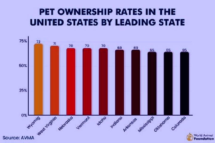 Flagyl flagyl for amebiasis medication