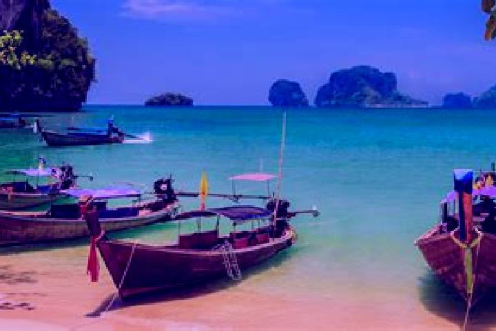 Flagyl how to give flagyl to cats medication