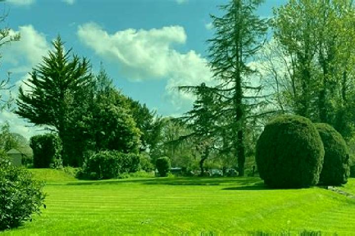 Lasix lasix induced gout pills
