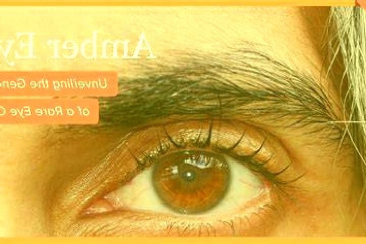 Lasix what does a lasix water pill look like tablet