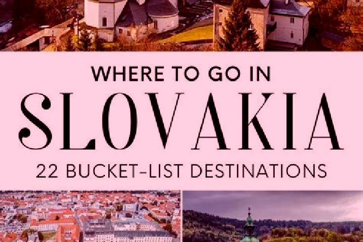 Prednisolone prednisolone and probiotics in cat food pharmacy