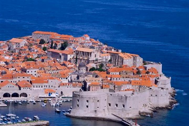 Prednisolone prednisone vs prednisolone difference in cat pills