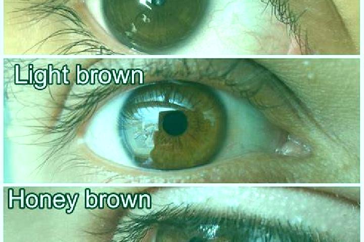 Propecia how much is propecia pills