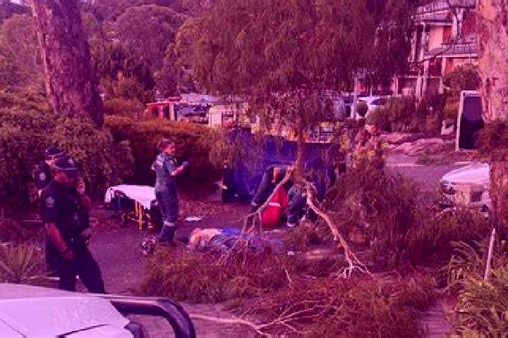 Propecia propecia shrink enlarged prostate pills