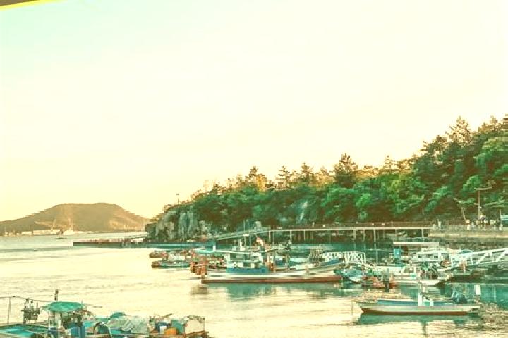 Propecia will propecia help grow back hair medication