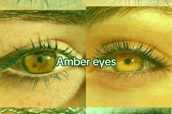 Propranolol medication
