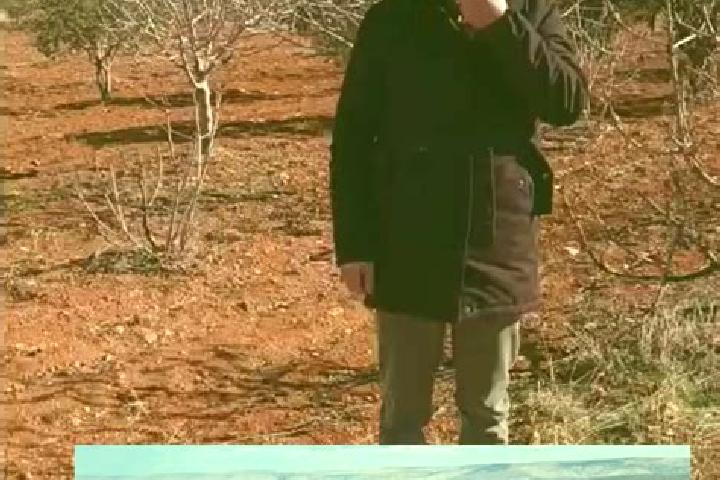 Provigil tim ferriss speed provigil medication