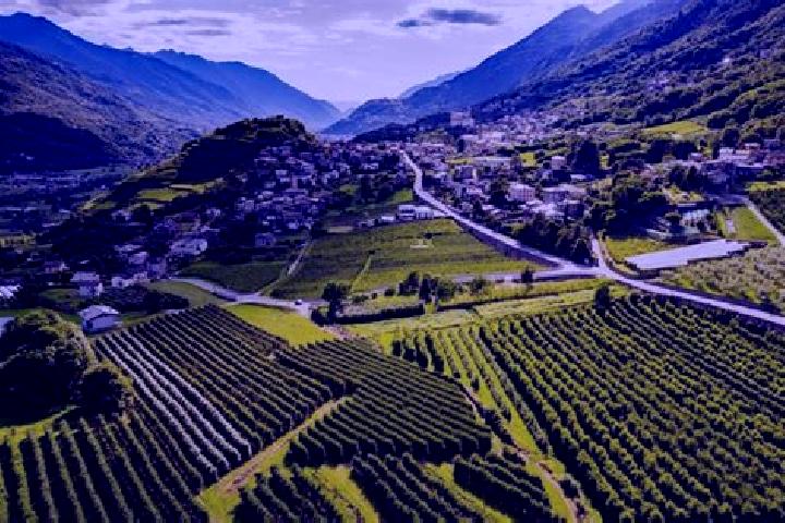 Viagra average cost of viagra prescription tablet