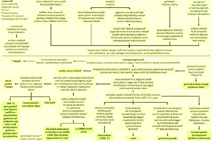 Viagra can you use out of date viagra tablet