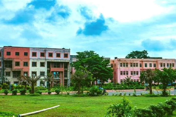 Viagra olive oil and lime juice viagra pharmacy