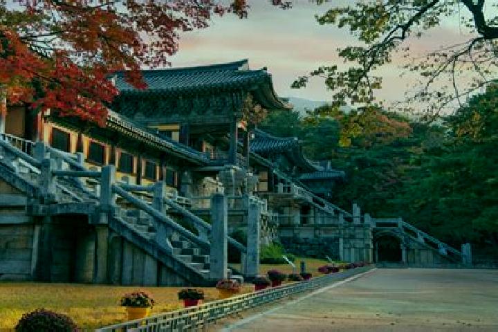 Viagra what happens if a normal person take viagra medication