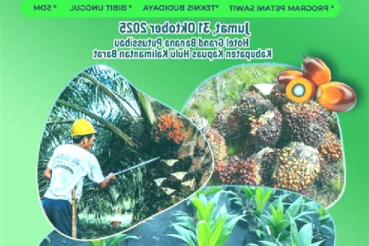 Viagra what in viagra makes it work pills